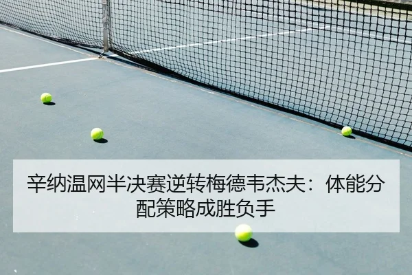 xin-na-wen-wang-ban-jue-sai-ni-zhuan-mei-de-wei-jie-fu-ti-neng-fen-pei-ce-lve-cheng-sheng-fu-shou-2-368.jpg