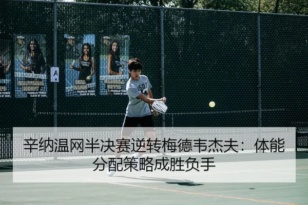 xin-na-wen-wang-ban-jue-sai-ni-zhuan-mei-de-wei-jie-fu-ti-neng-fen-pei-ce-lve-cheng-sheng-fu-shou-3-568.jpg