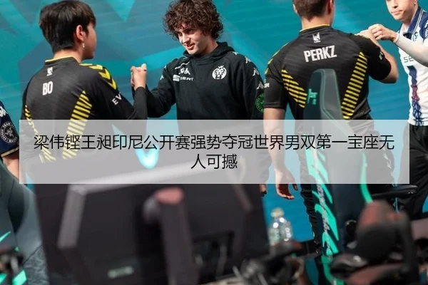 梁伟铿王昶印尼公开赛强势夺冠世界男双第一宝座无人可撼