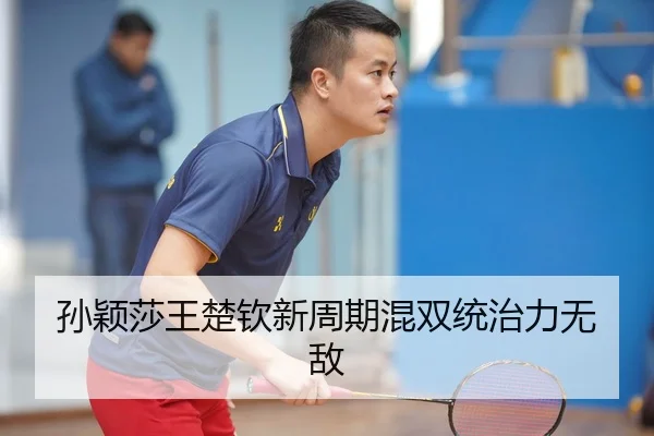 sun-ying-sha-wang-chu-qin-xin-zhou-qi-hun-shuang-tong-zhi-li-wu-di-3-633.jpg