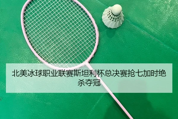 bei-mei-bing-qiu-zhi-ye-lian-sai-si-tan-li-bei-zong-jue-sai-qiang-qi-jia-shi-jue-sha-duo-guan-3-865.jpg